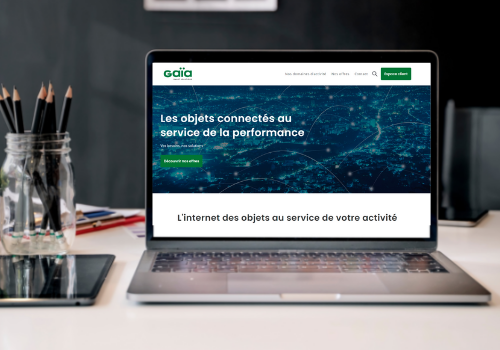 GSS - Nos Offres  (1)